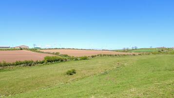Paesaggio rurale con campi, una recinzione e turbine eoliche all'orizzonte.