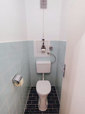 Sèche-cheveux, serviettes fournies, savon, papier toilette