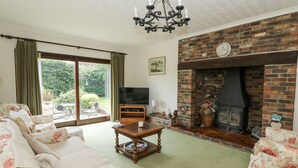 Ein Wohnzimmer mit Kamin, Fernseher und einer Couch.