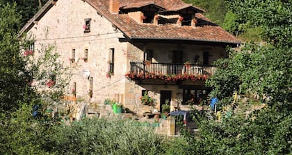 RURAL HOUSE LA BĂRCENA SAJA
