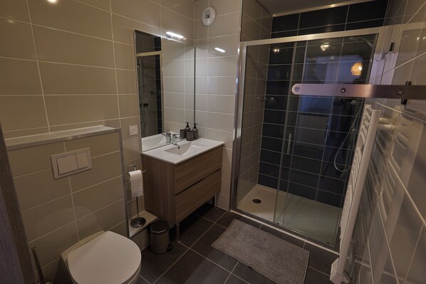 Een moderne badkamer met een douchecabine van glas, een wastafel met spiegel en een toilet.