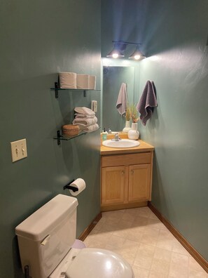 Hair dryer, towels, soap, toilet paper