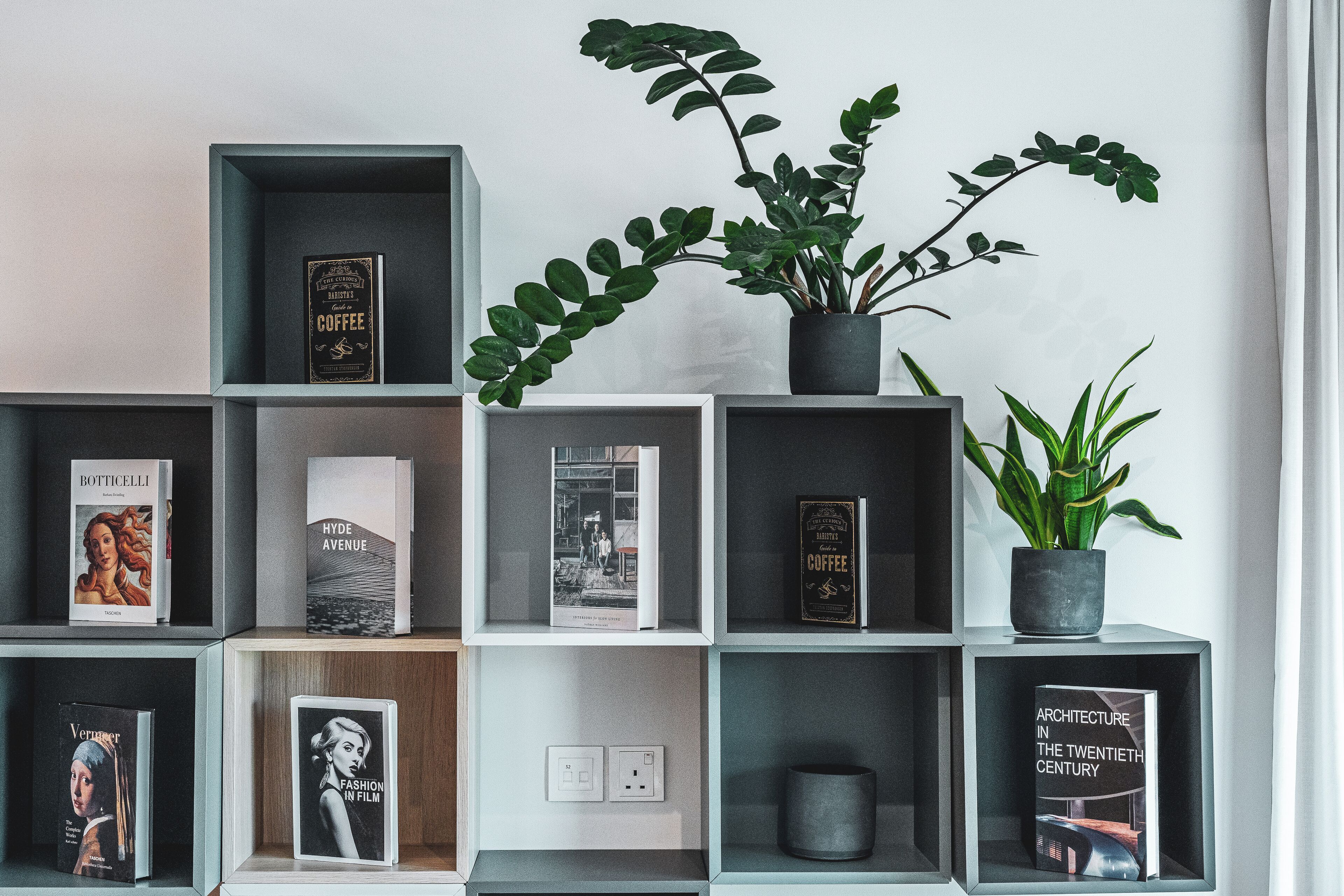 Uma estante com livros e um vaso de planta.