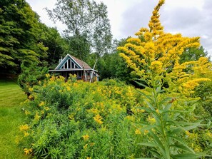 A house surrounded by lush greenery and yellow flowering plants.