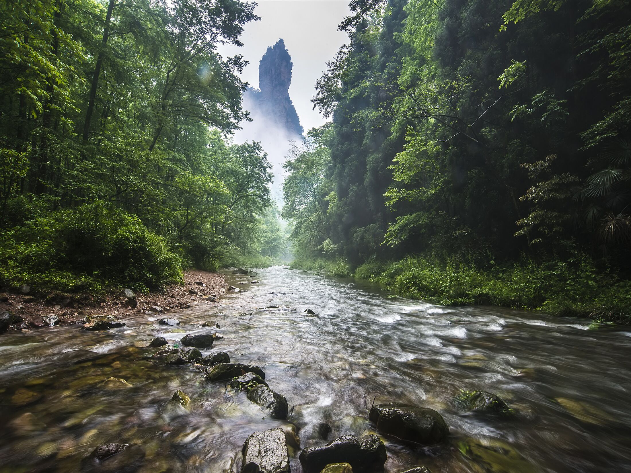 A river flowing through a forest with a prominent rock formation in the background.