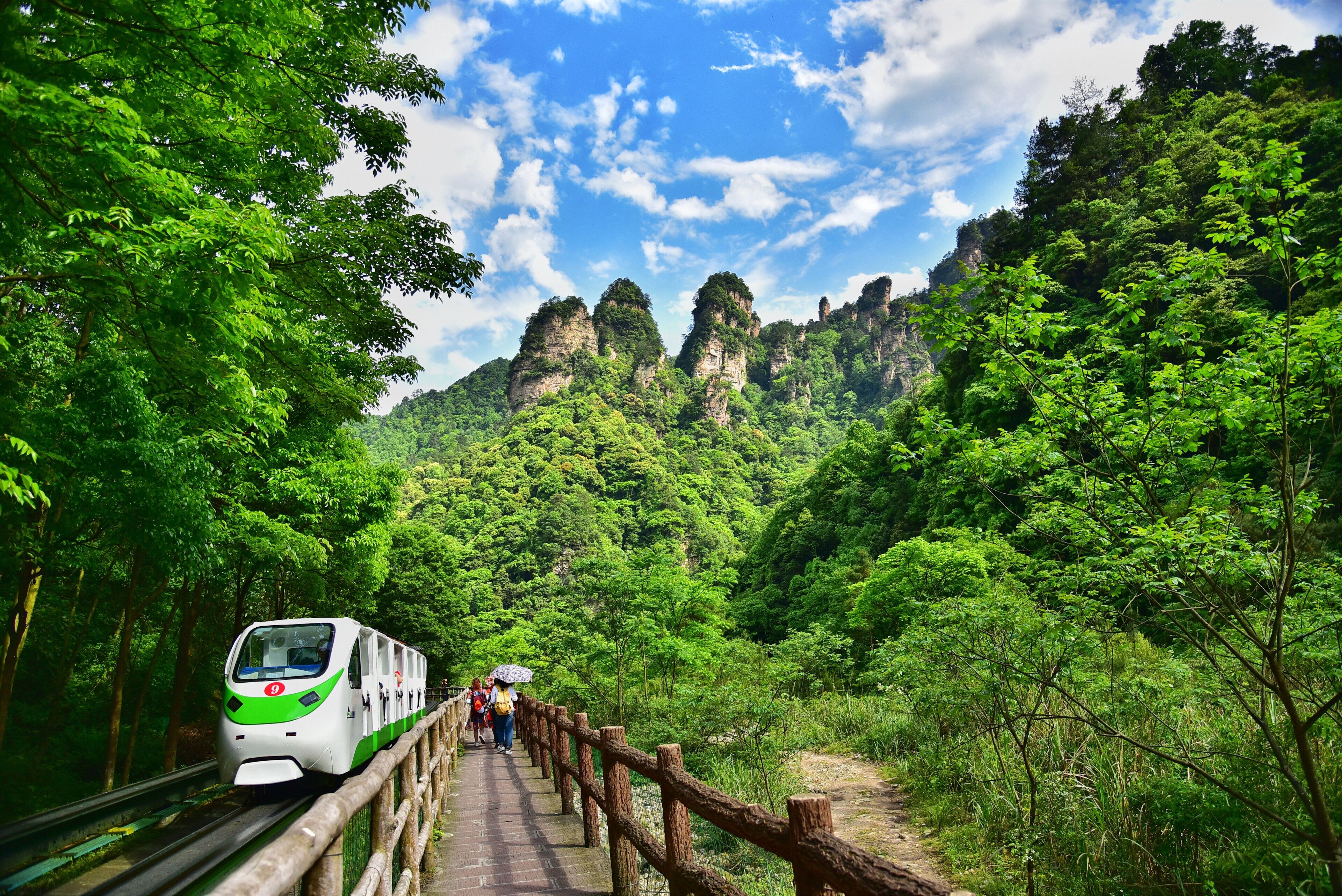 Un tren sobre un puente de madera, rodeado de vegetación exuberante y acantilados rocosos.