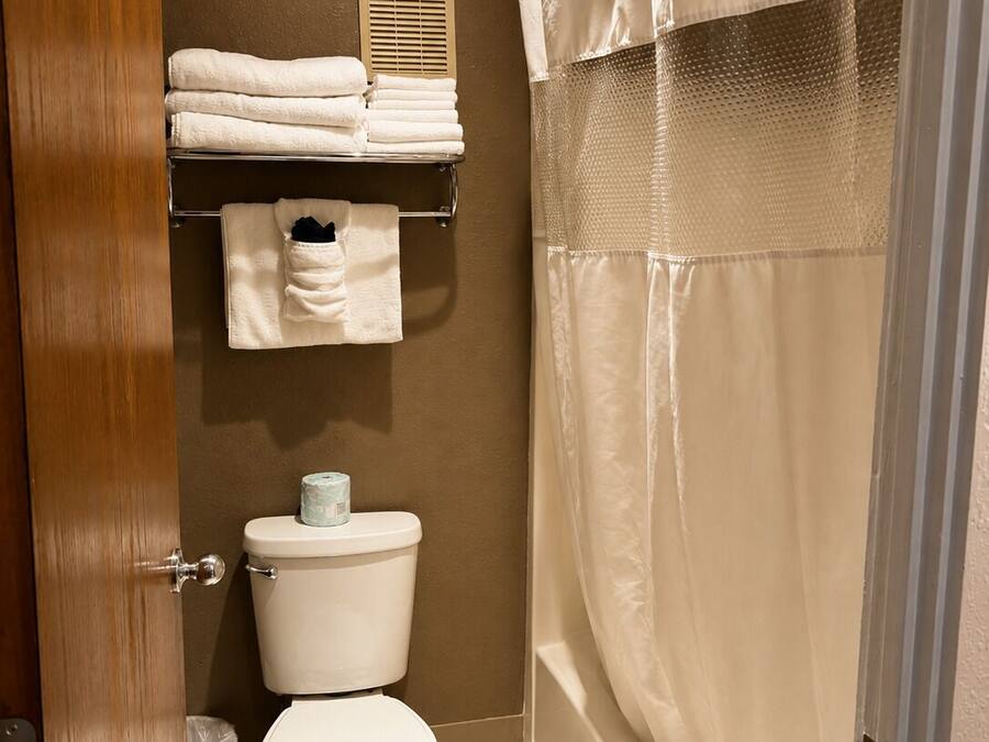 A bathroom with a toilet, a shelf with folded towels, and a shower curtain.