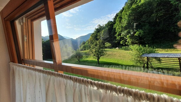Habitación con vista a un paisaje verde, marco de ventana de madera y cortina.
