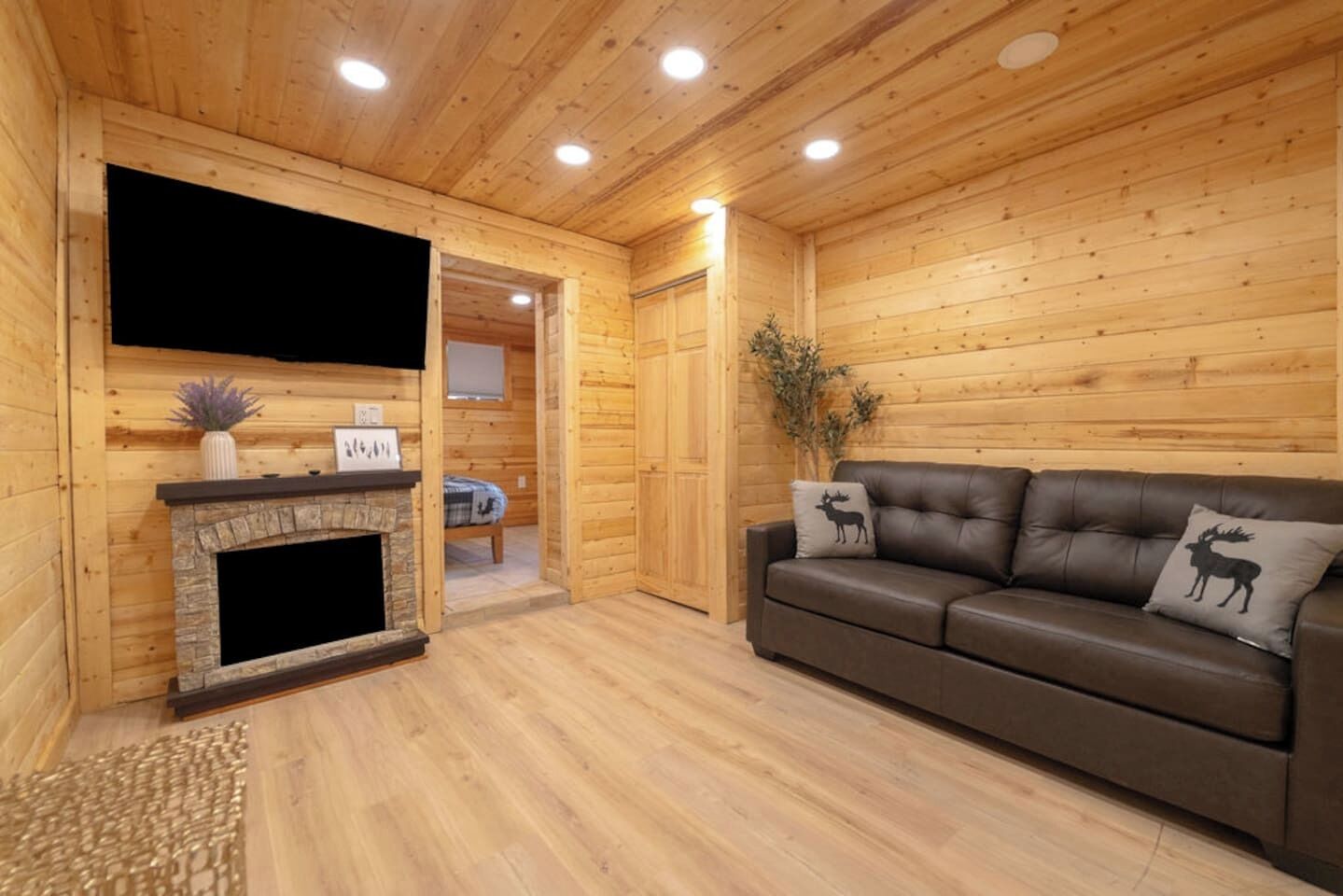 TV connectée, cheminée