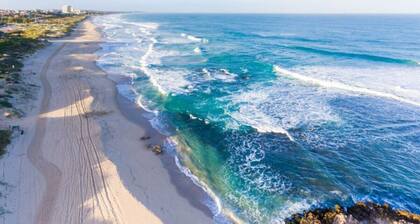Endless Summer - The Reefs!