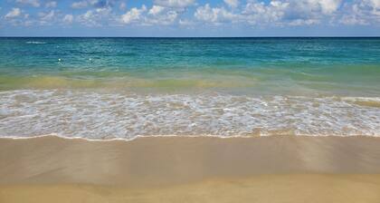 Charming 1-BR cottage w/ WiFi and AC w/ pool and beach access in Runaway Bay