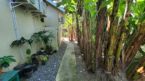 Property grounds - Charming 1-BR cottage w/ WiFi and AC w/ pool and beach access in Runaway Bay (Runaway Bay)