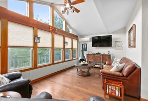 TV, fireplace, books