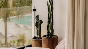 Una stanza con vista su una piscina e palme, con due cactus in vaso e una finestra con tende.