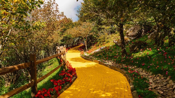 A paved pathway with a wooden fence on one side and a bed of red flowers on the other. - Tranquility Beech: 2BR Condo Steps from the Resort--Parking Lot Level: No Stairs (Banner Elk)
