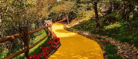 Áreas de la propiedad