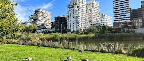 Boendeområde