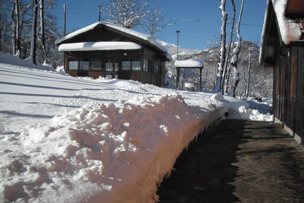 Front view
