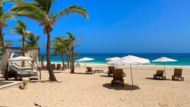 Een strand met palmbomen, een houten terras en strandstoelen.