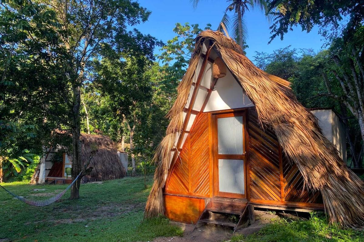 A thatched-roof hut with a wooden door and window, surrounded by lush greenery.