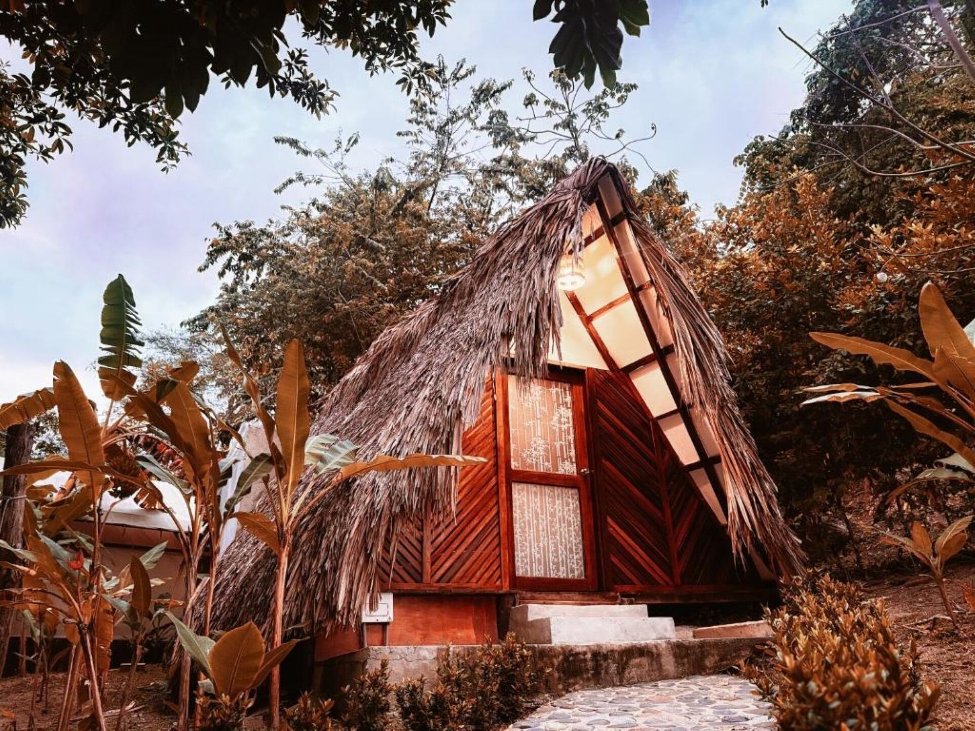 Comfort Bungalow, Garden View | View from room