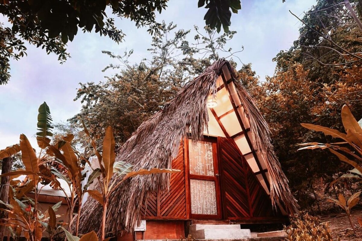 Comfort Bungalow, Garden View | View from room