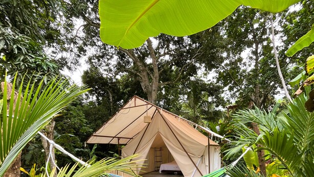 Una tienda de campaña pequeña y de una sola habitación, con una hamaca y una planta en maceta al frente.