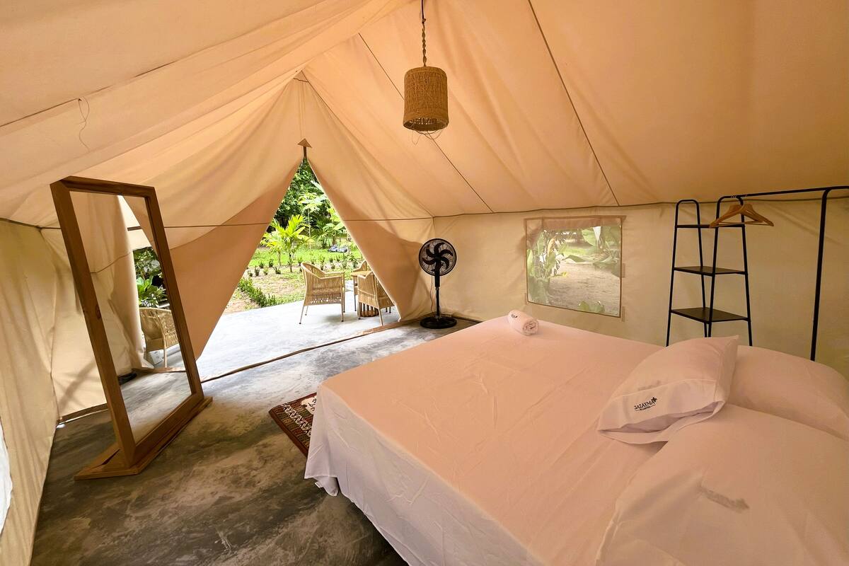 واي فاي مجانًا