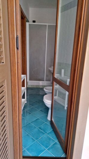 Hair dryer, bidet, towels, soap