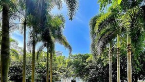 A serene garden with a pond, palm trees, and a building in the background. - Loft Living – Stylish & Central Santurce (San Juan)