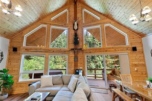 TV, peis, bøker og stereoanlegg