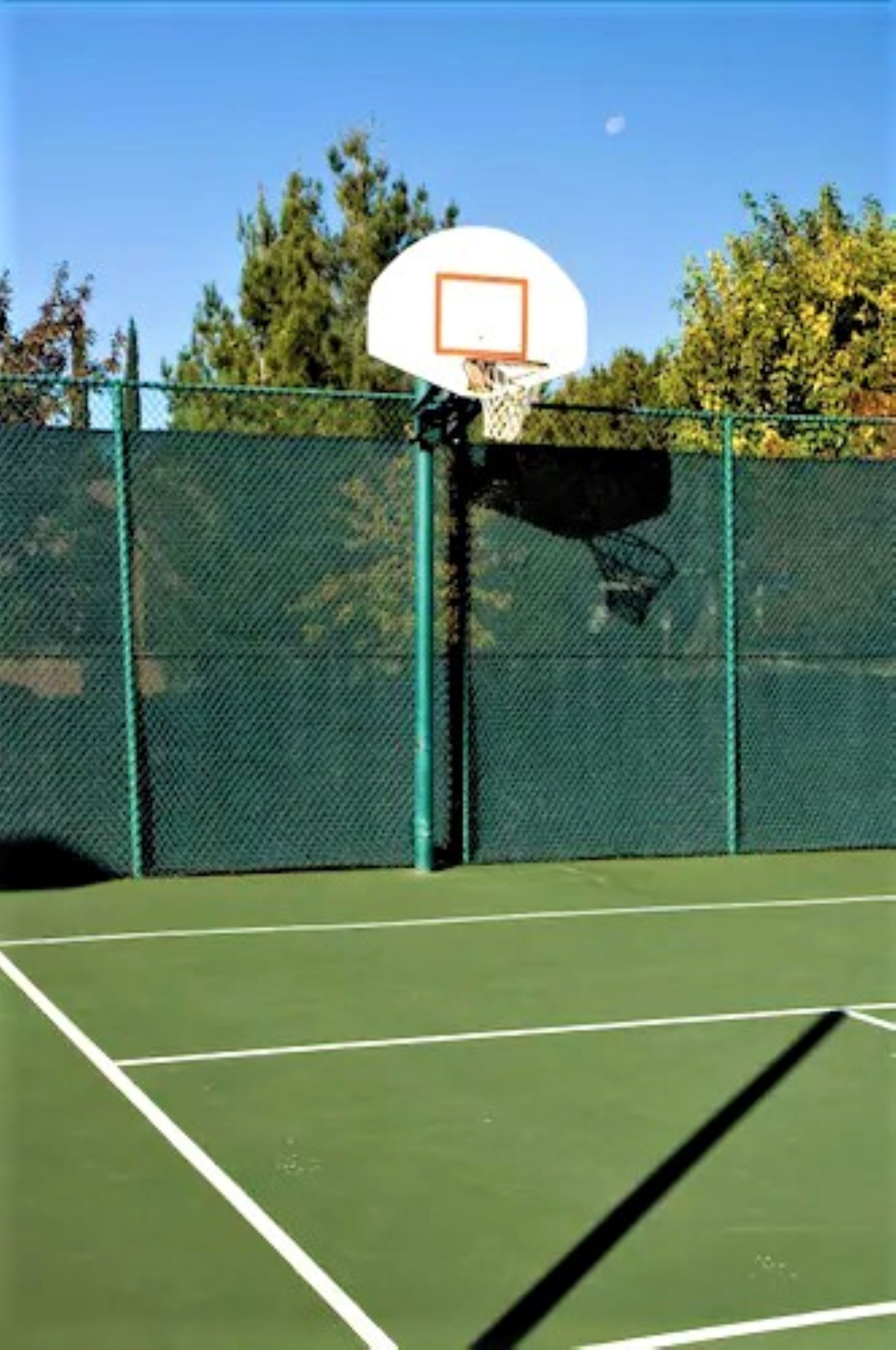 A basketball court with a hoop, surrounded by a chain-link fence and trees in the background.