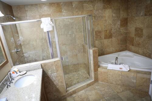 1 Bedroom Unit | Bathroom | Towels, soap, shampoo, toilet paper