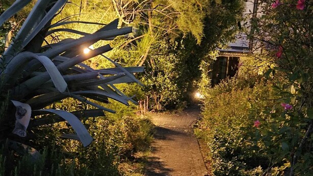 A brick pathway in a garden with various plants and a building in the background. - A two-room apartment, 10 minutes from Pisa. (Cascina)