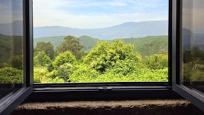 A window with a view of a green landscape and distant mountains.
