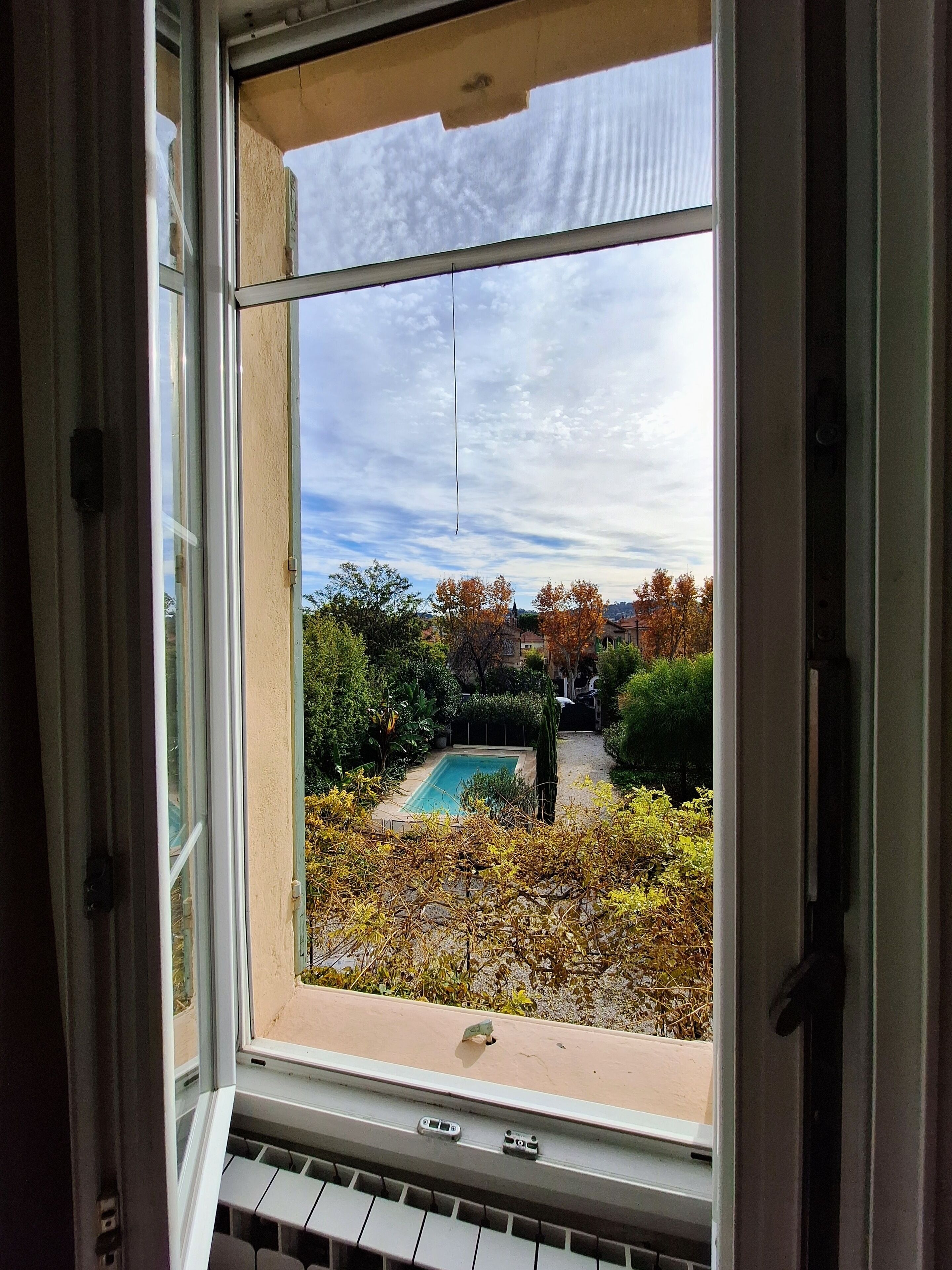 Une vue à travers une fenêtre sur une piscine entourée d’arbres et d’arbustes.