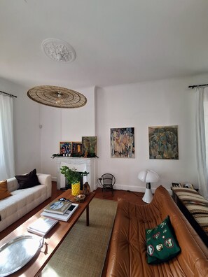 TV connectée, cheminée, lecteur de DVD, livres