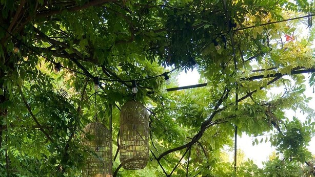 Un espace de restauration en plein air avec une table dressée pour deux personnes, entouré de plantes en pot et offrant une vue sur une piscine.