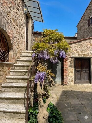 Property grounds - Private Hilltop Villa with Sea Views in the Heart of Maremma, Tuscany (Scansano)