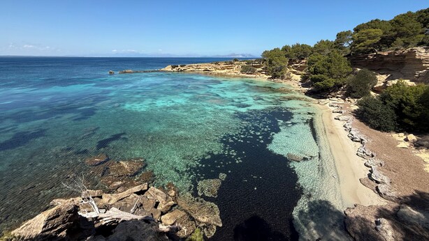 A coastal landscape with clear turquoise waters, rocky shorelines, and dense greenery. - Sa Carrotja - Traditional villa with pool near the sea (Manacor)