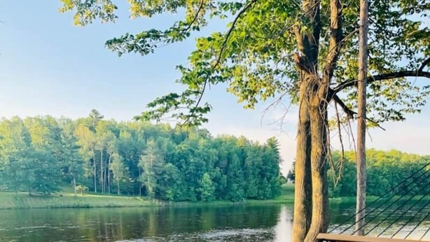 Una hamaca junto a un lago, con vista a árboles y una valla.