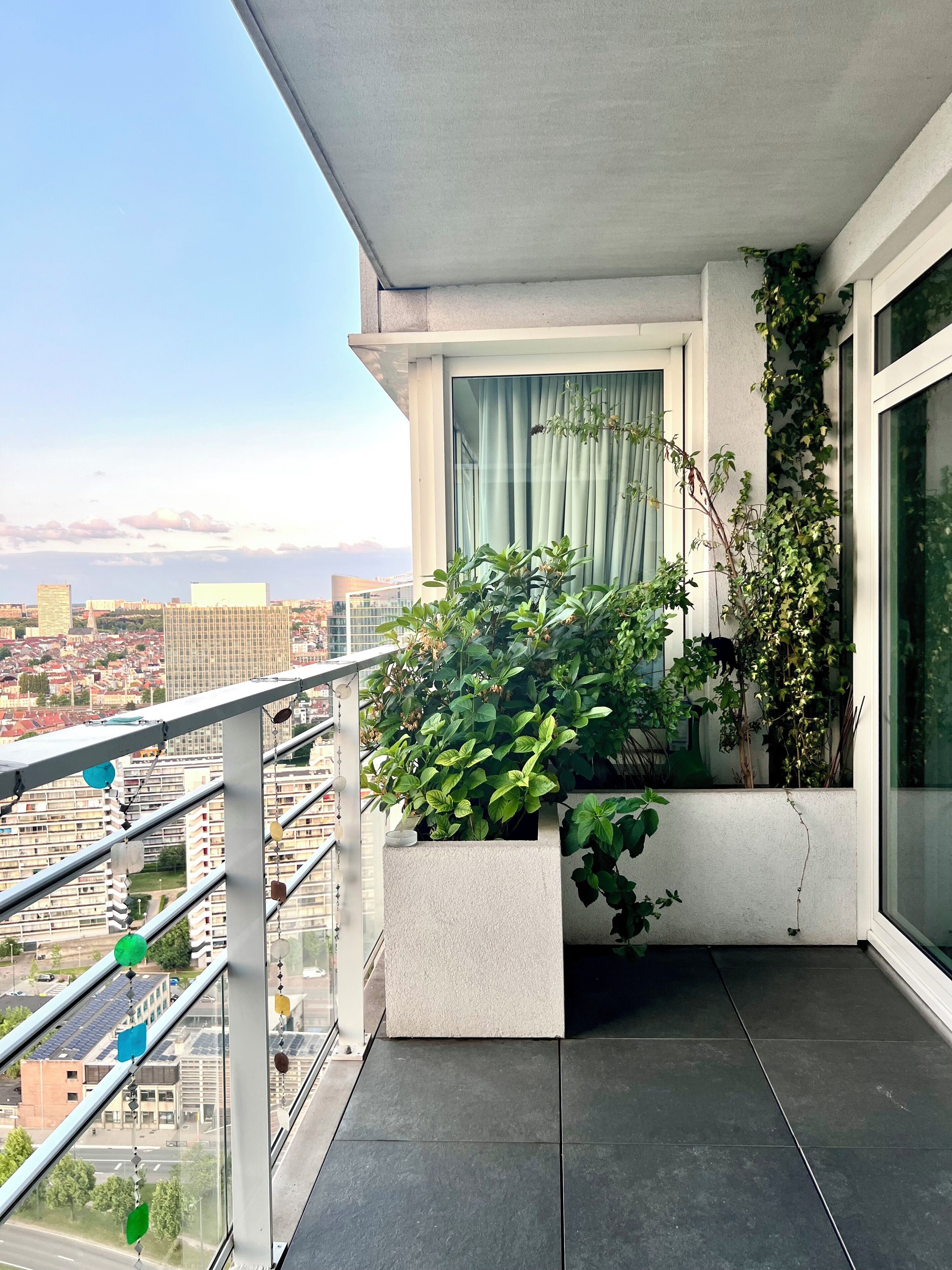 A balcony with a view of a cityscape, a potted plant, and a window with curtains.