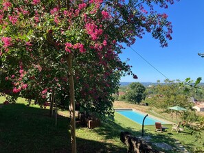 A swimming pool surrounded by lush greenery and a clear blue sky.