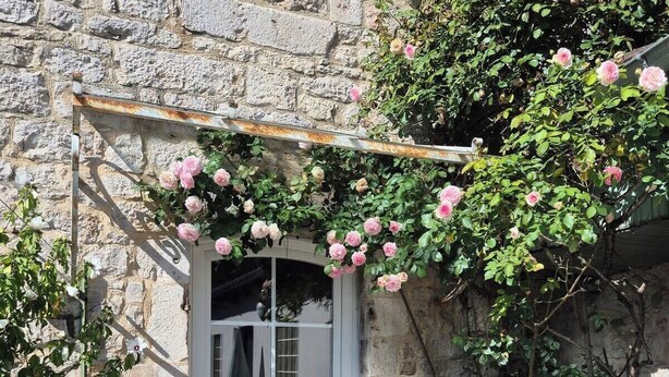 A stone building with a white door, a covered entrance, and a garden with pink roses. - Chez Mamie, Gramat centre (Gramat)