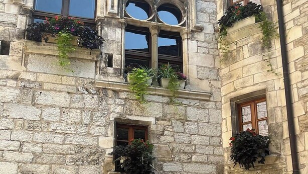 Un edificio de piedra con varias ventanas, algunas con plantas en jardineras, y una puerta de madera.