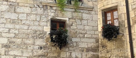 Detalle exterior