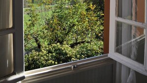 A window with a view of a landscape including trees and a building.