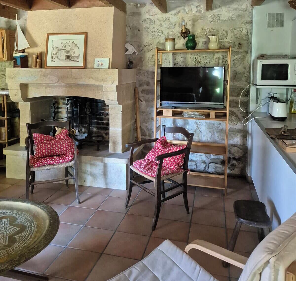 A cozy living room with a fireplace, two wooden chairs with red cushions, a television on a wooden stand, and a kitchen area with a microwave and toaster.
