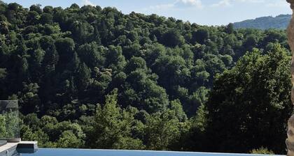Aubié superbe propriété pour 20 avec piscine