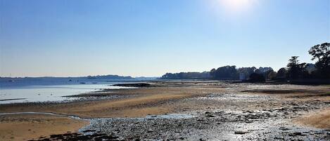 A beach with a clear sky and calm water.